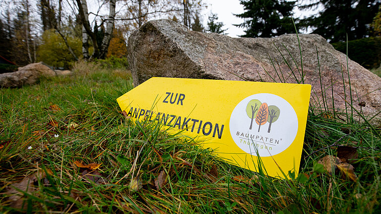 QUNDIS-Baumpaten_Pflanzaktion_11_2023_3