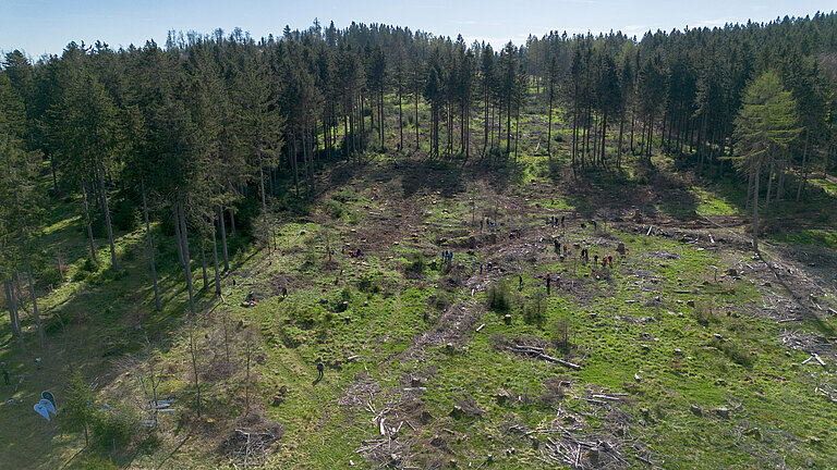 QUNDIS-Baumpaten-Pflanzaktion